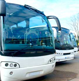 Bus Travel, Motor Coach
